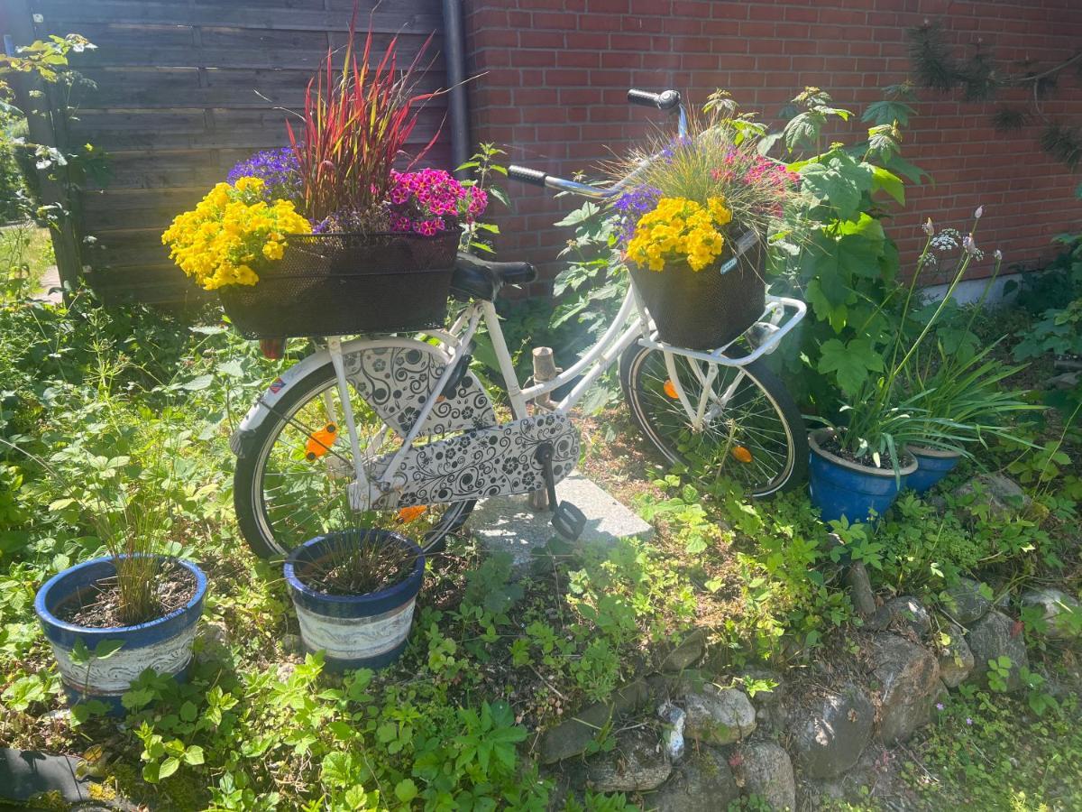 Segelund - Zeit Fuer Uns- Ruhige Und Sonnige Ferienwohnung Mit Terrasse Und Garten Nahe Strand Und Ostsee Schonhagen  Luaran gambar